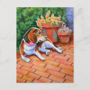 Beagle auf Brick Patio Postkarte