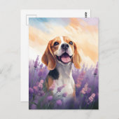 Beagle auf dem Lavendelfeld Postkarte (Vorne/Hinten)