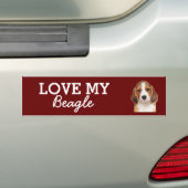 Beagle Autoaufkleber (Auf Auto)