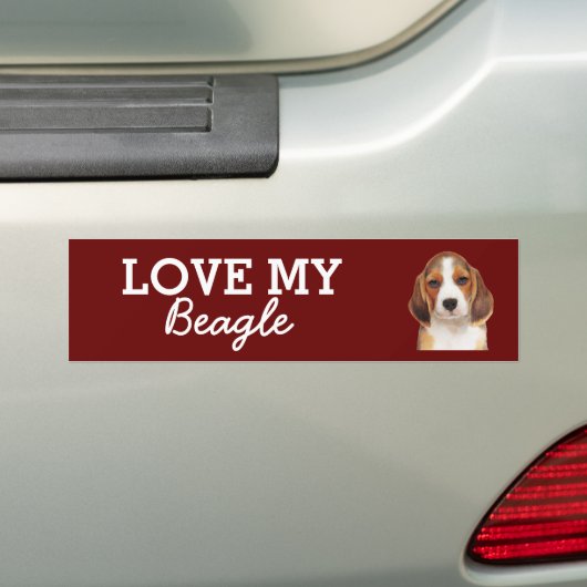 Beagle Autoaufkleber (Auf Auto)