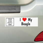 Beagle Autoaufkleber (Auf Auto)