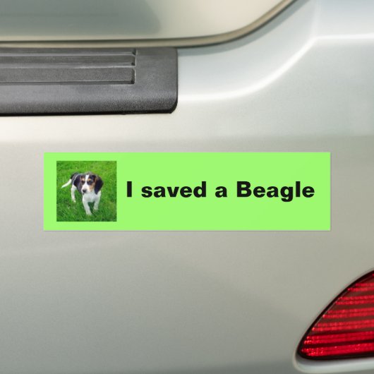 Beagle-Autoaufkleber Autoaufkleber (Auf Auto)