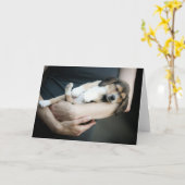 Beagle Babe schläft in Waffen Karte (Gelbe Blume)