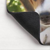 Beagle-Baby-Hund Mousepad (Ecke)