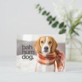 Beagle "Bah Hum Dog" Postkarte (Stehend Vorderseite)