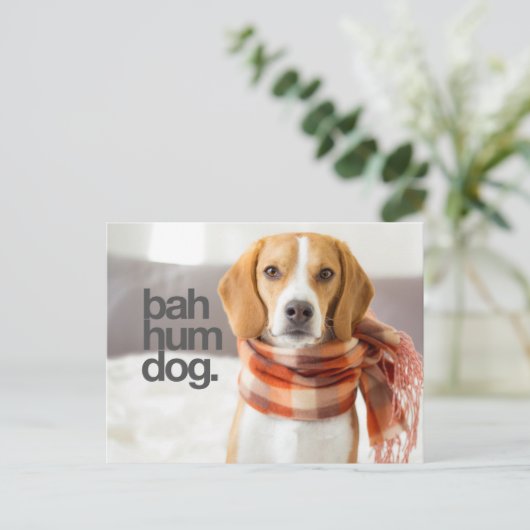 Beagle "Bah Hum Dog" Postkarte (Stehend Vorderseite)