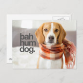 Beagle "Bah Hum Dog" Postkarte (Vorne/Hinten)