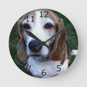 Beagle Basset Dog Runde Wanduhr