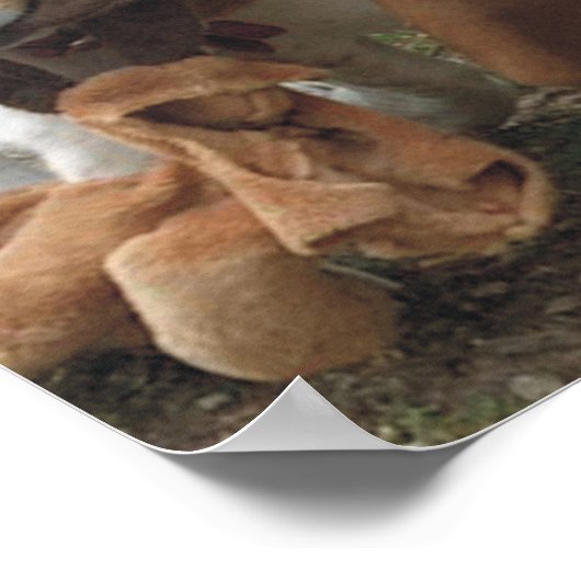 Beagle & Basset Hound Freunde Poster (Ecke)