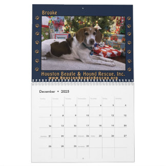 Beagle Beagle 2025 Wandkalender