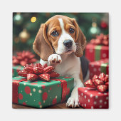 Beagle beim Einpacken von Weihnachtsgeschenken Mal Magnet (Vorne)