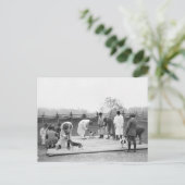 Beagle beurteilen, 1914 postkarte (Stehend Vorderseite)