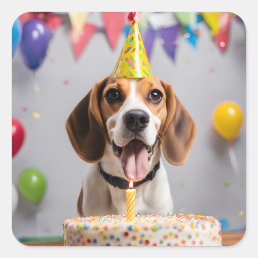 Beagle Birthday Party Quadratischer Aufkleber (Vorderseite)