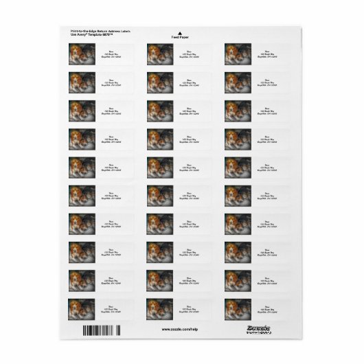 Beagle Brothers (Vorne)