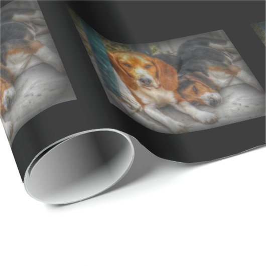 Beagle Brothers Geschenkpapier (Rolleneckpunkt)