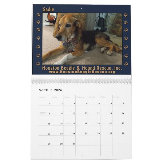 Beagle & Buddies 2025 Mauerkalender Kalender (Mär 2026)