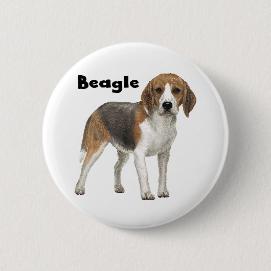 Beagle Button (Vorderseite)