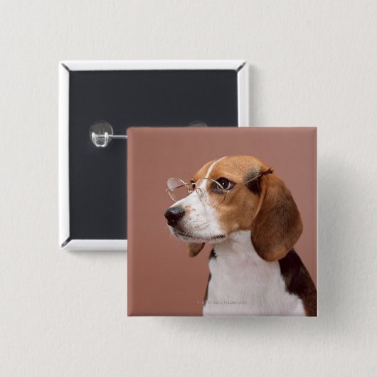 Beagle Button (Vorne & Hinten)