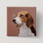 Beagle Button (Vorderseite)
