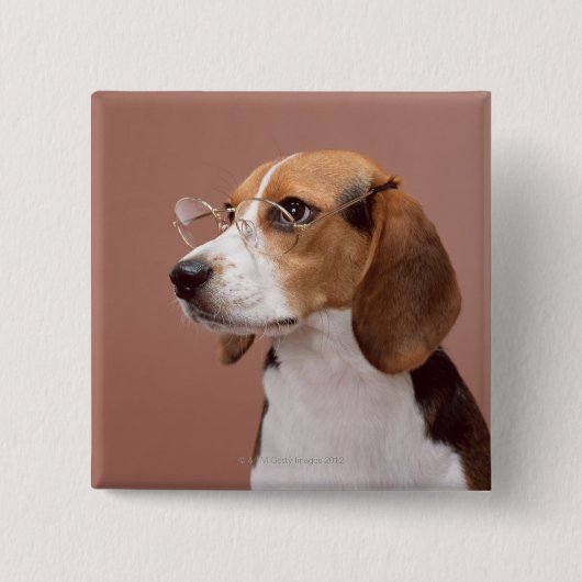 Beagle Button (Vorderseite)