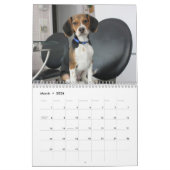 Beagle Calander Kalender (Mär 2026)