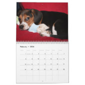 Beagle Calander Kalender (Feb 2026)