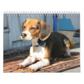 Beagle Calander Kalender (Titelbild)