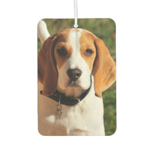 Beagle Car Air Freshener Autolufterfrischer