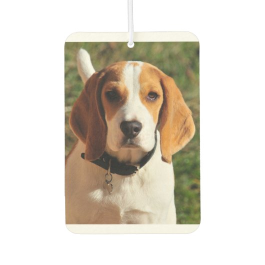 Beagle Car Air Freshener Autolufterfrischer (Vorderseite)