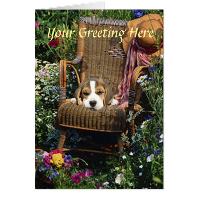 Beagle Card im Gartenstuhl (Vorne)