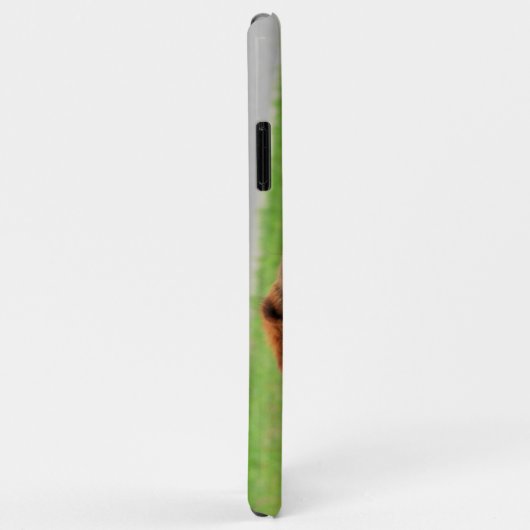 Beagle Case-Mate iPhone Hülle (Hinten/Rechts)