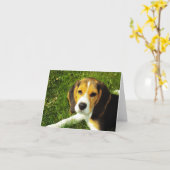 Beagle-CD Karte (Gelbe Blume)