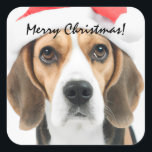 Beagle Christmas Square Sticker<br><div class="desc">Niedlicher Beagle mit einer Weihnachtsmannmütze.</div>