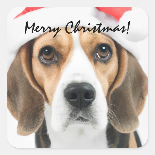 Beagle Christmas Square Sticker (Vorderseite)