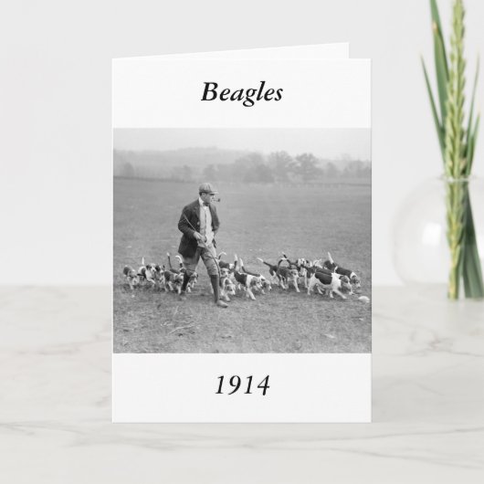 Beagle Club, 1914 Karte (Vorderseite)