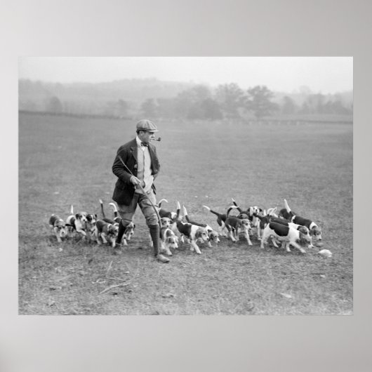 Beagle Club, 1914 Poster (Vorne)