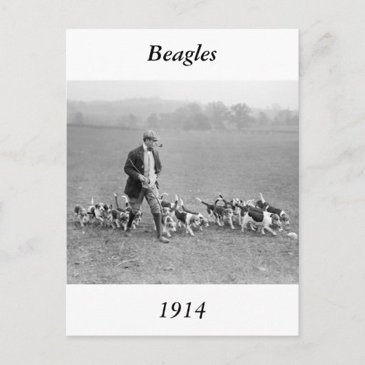 Beagle Club, 1914 Postkarte (Vorderseite)