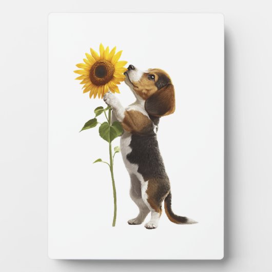 Beagle Copy Fotoplatte (Vorderseite)