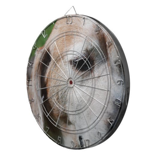 Beagle Dartscheibe (Vorderseite rechts)