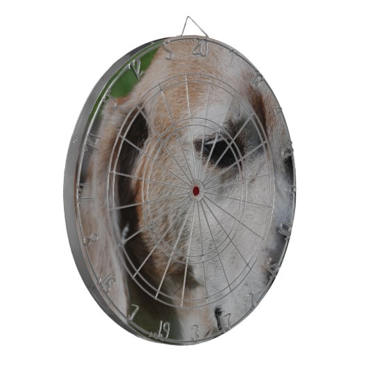 Beagle Dartscheibe (Vorderseite Links)