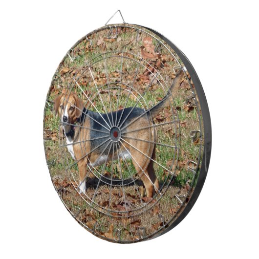 Beagle Dartscheibe (Vorderseite rechts)