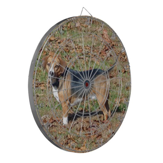 Beagle Dartscheibe (Vorderseite Links)
