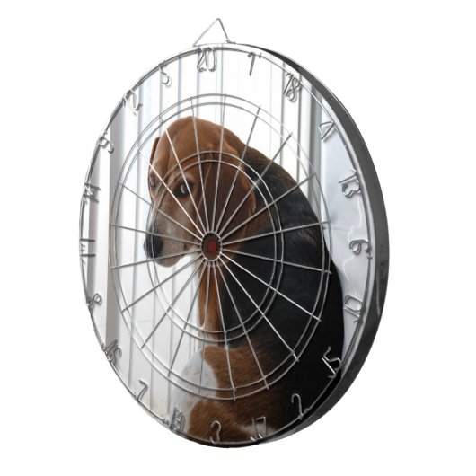 Beagle Dartscheibe (Vorderseite rechts)