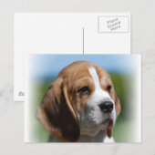 Beagle-Diskettenlaufkarte Postkarte (Vorne/Hinten)
