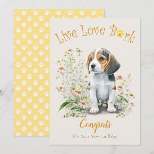 Beagle Dog Adoption, Gotcha Tag Karte