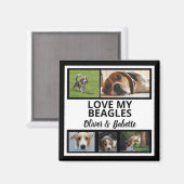 Beagle Dog Besitzer und stolze Welpen Dog Collage Magnet (Vorderseite/Rückseite)