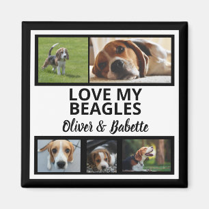 Beagle Dog Besitzer und stolze Welpen Dog Collage Magnet