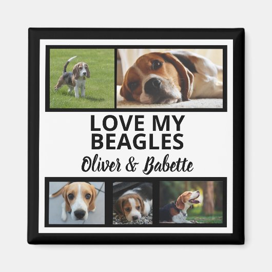 Beagle Dog Besitzer und stolze Welpen Dog Collage Magnet (Vorne)