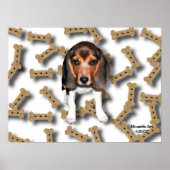 Beagle & Dog Biscuits Poster (Vorne)