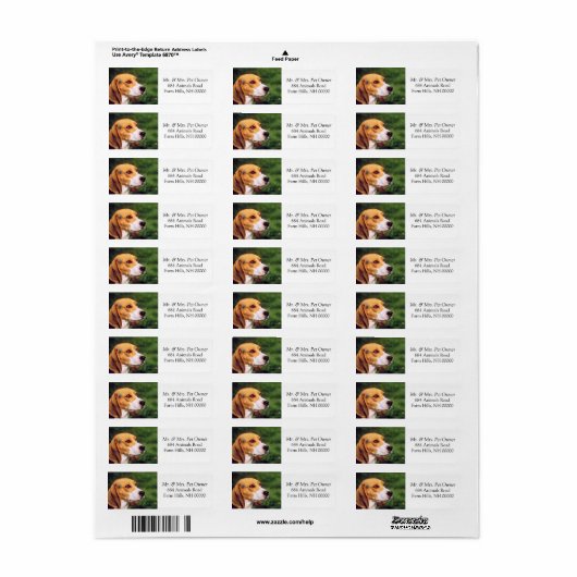 Beagle Dog Face Rücksendeadresse Mailing Stickers (Vorne)